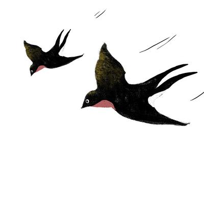 A black swallow flying to the left.