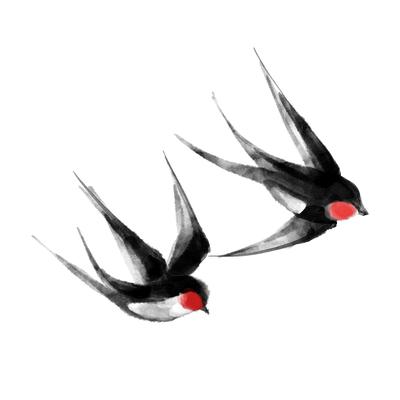 Two black swallows flying together.