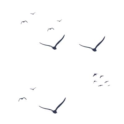 A flock of dark birds in the sky.
