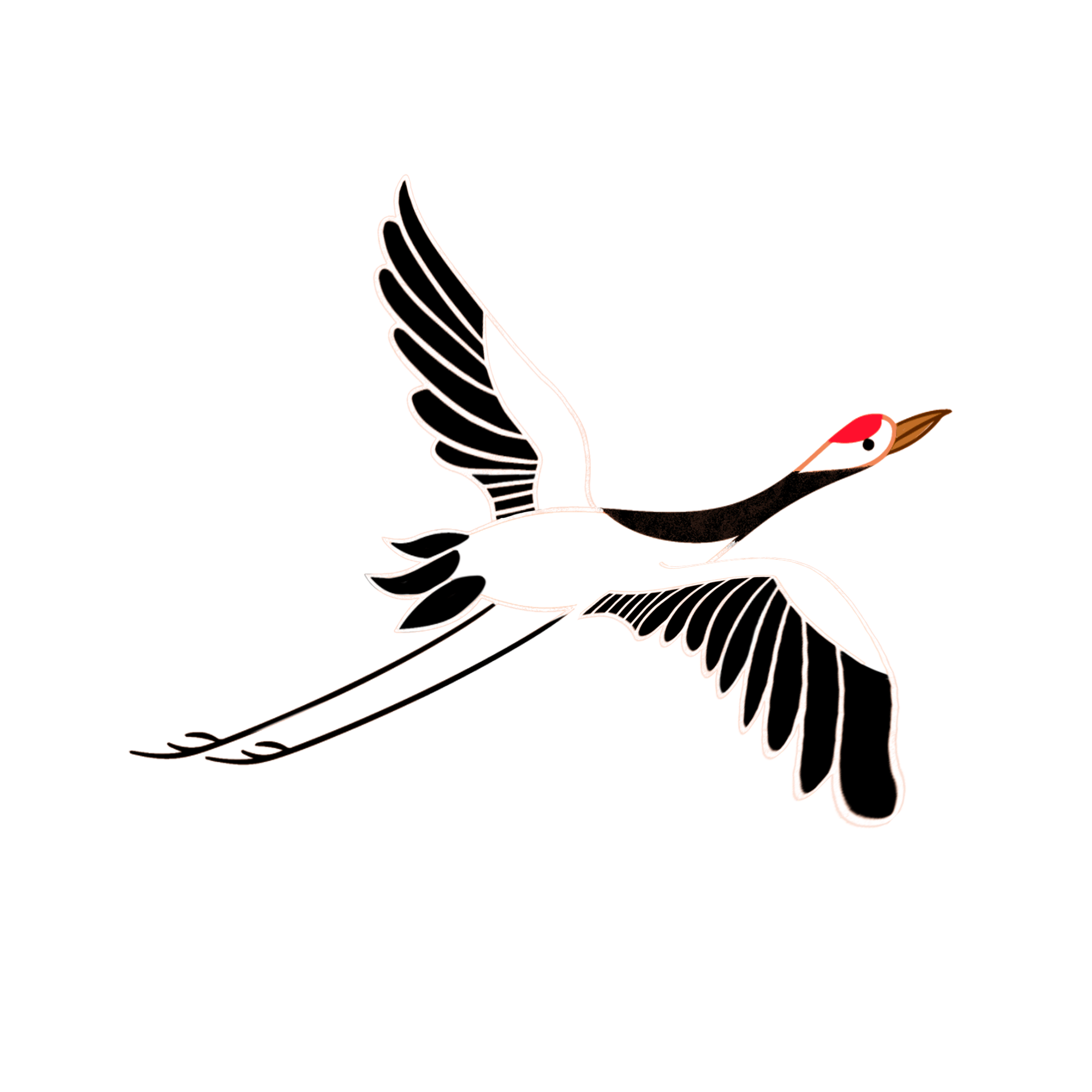 A white crane with a red crown in flight. GIF
