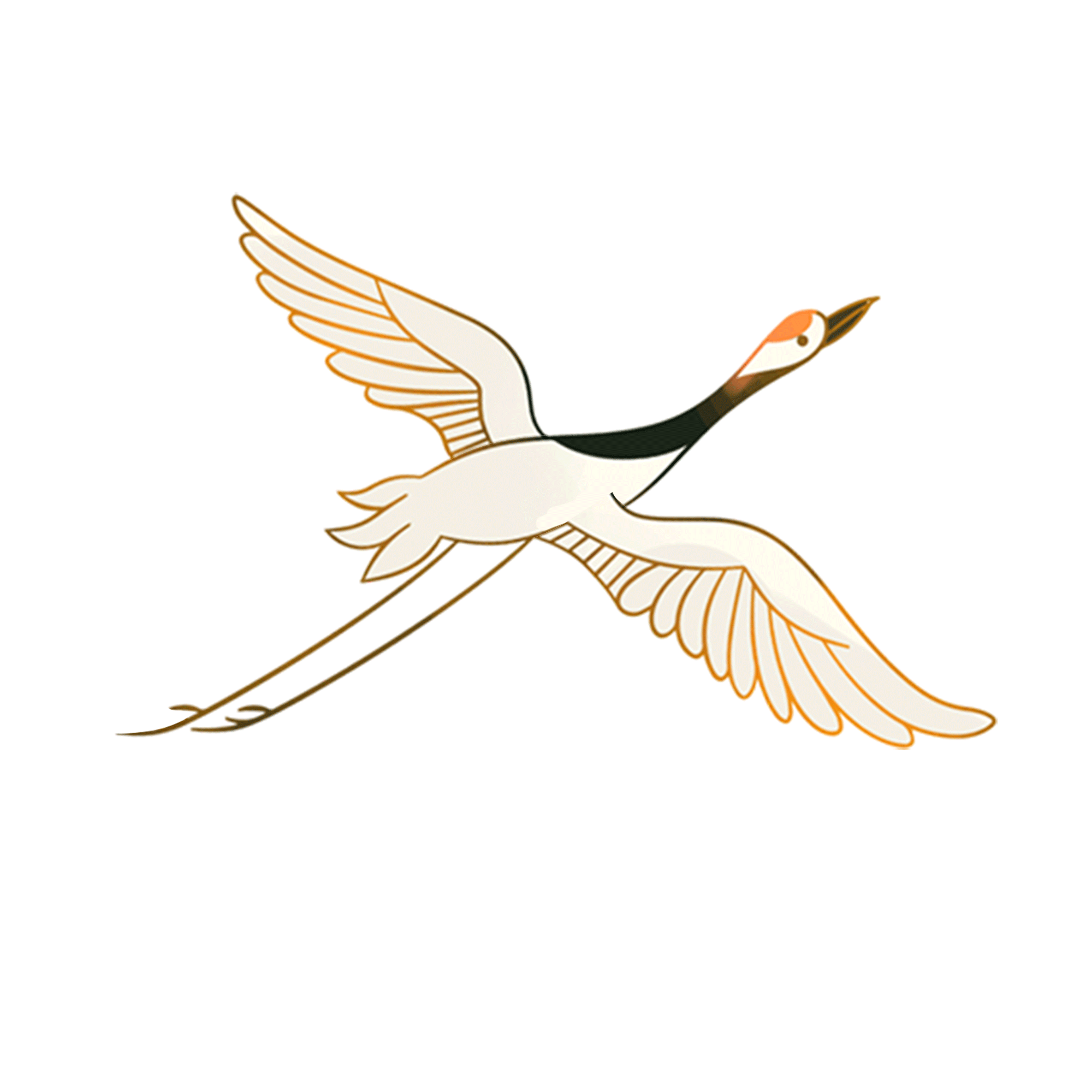 A white crane flying with open wings. GIF