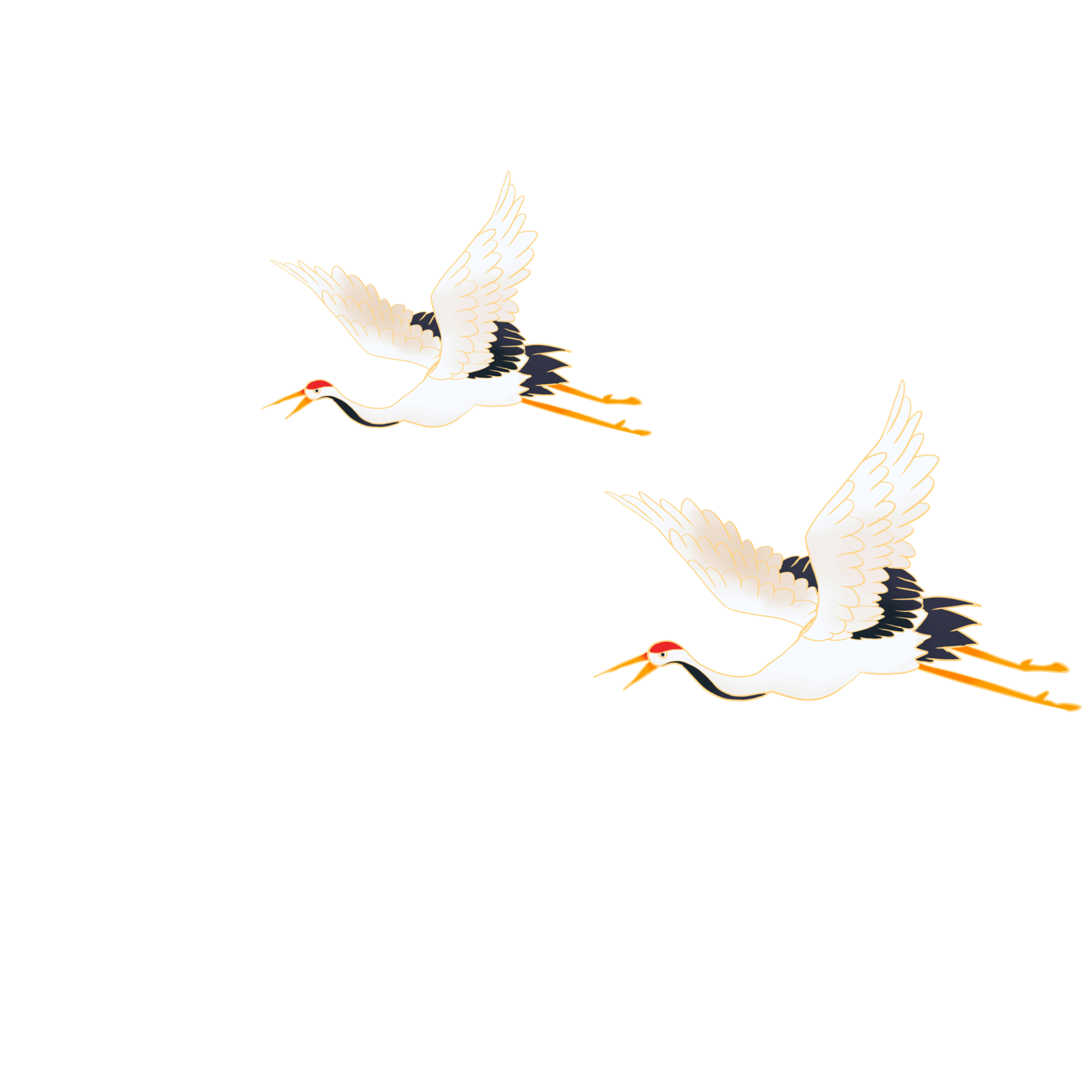 Two white cranes flying side by side. GIF