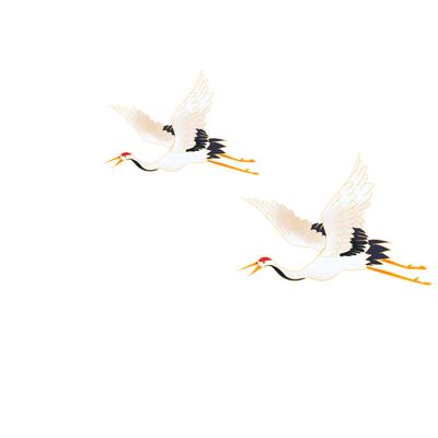 Two white cranes flying side by side.