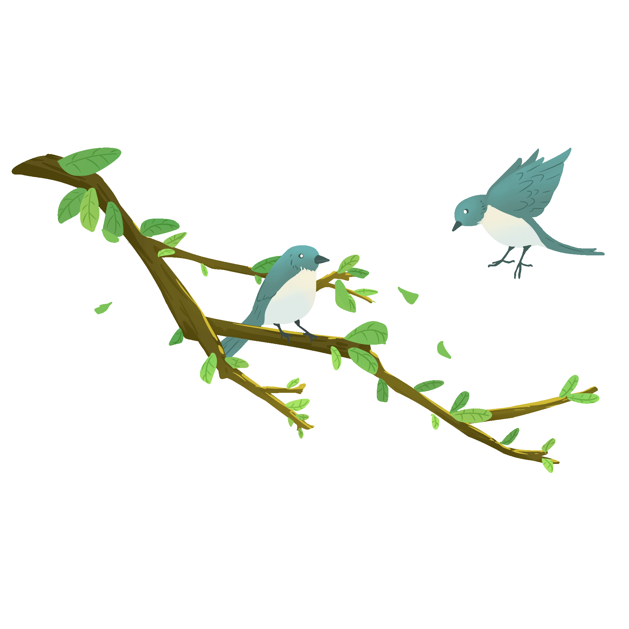 Two blue birds on a branch, one flying off. GIF
