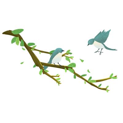 Two blue birds on a branch, one flying off.