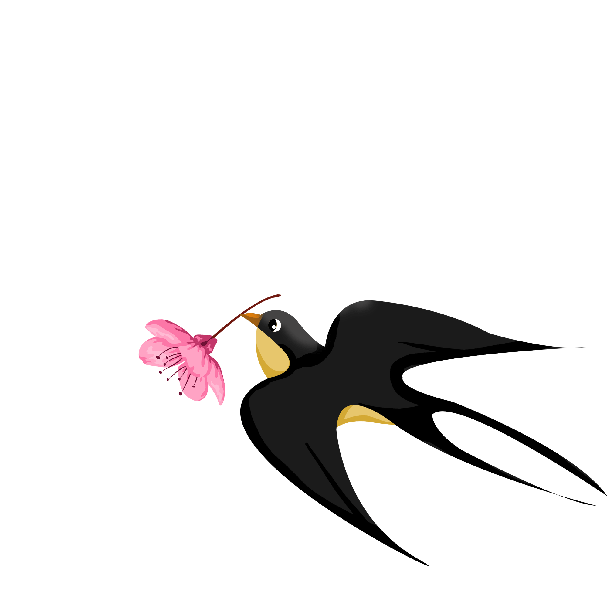 A swallow carrying a pink flower. GIF