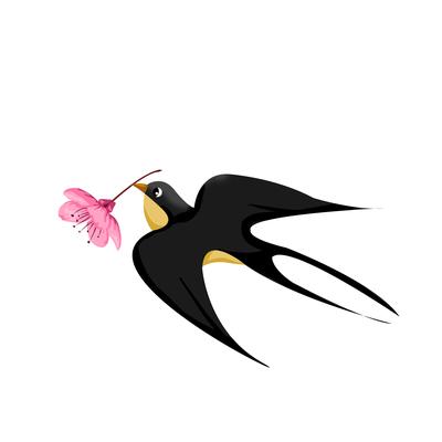 A swallow carrying a pink flower. GIF