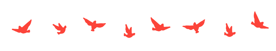 A row of red birds flying. GIF