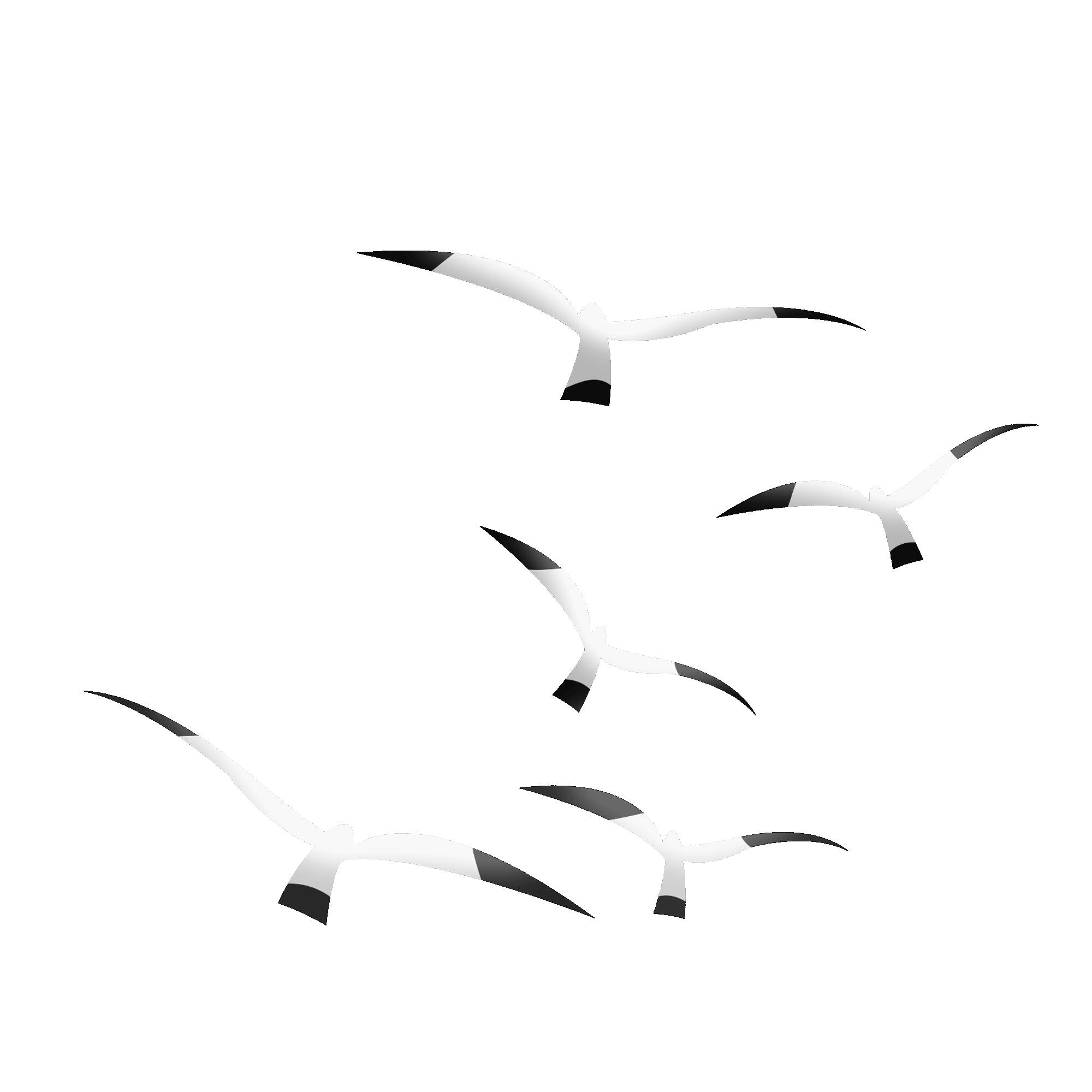 A flock of black birds crossing the sky. GIF