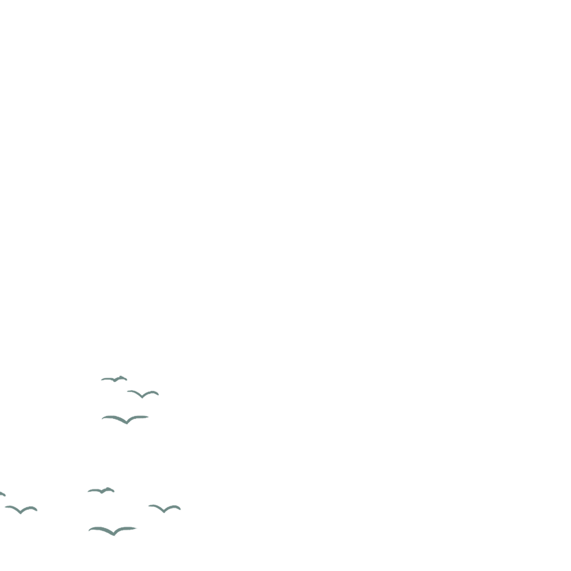 A flock of birds gathering in the sky. GIF