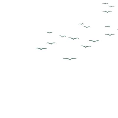 A flock of birds gathering in the sky.