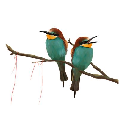 Two colorful birds calling on a branch.