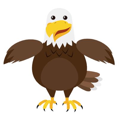 A bald eagle staring ahead.