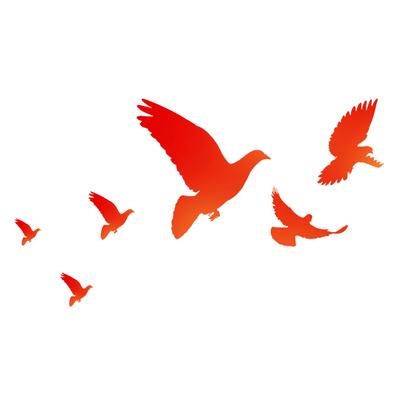 Three orange birds flying together. GIF