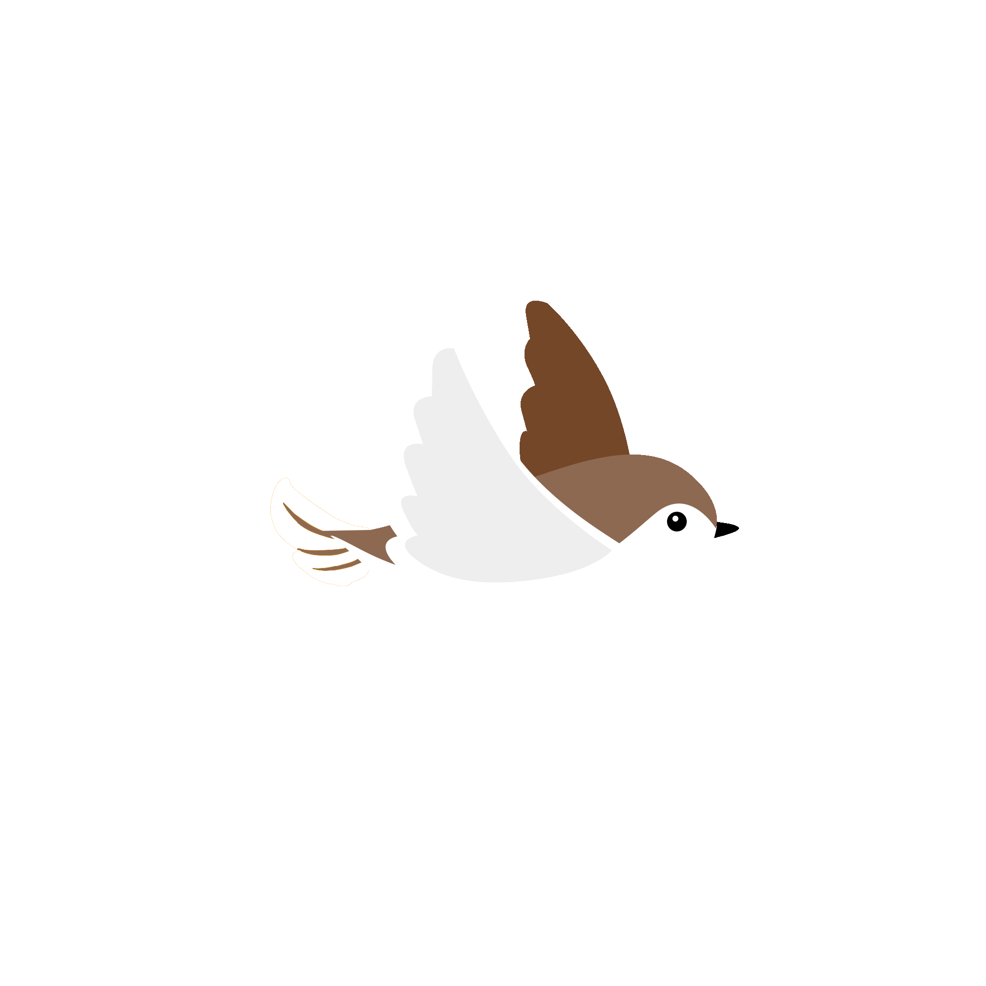 A brown and white bird flying. GIF