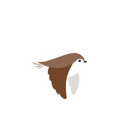 A brown and white bird flying. GIF