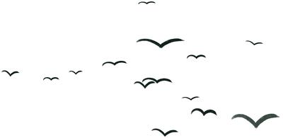 A wide flock of birds flying past.